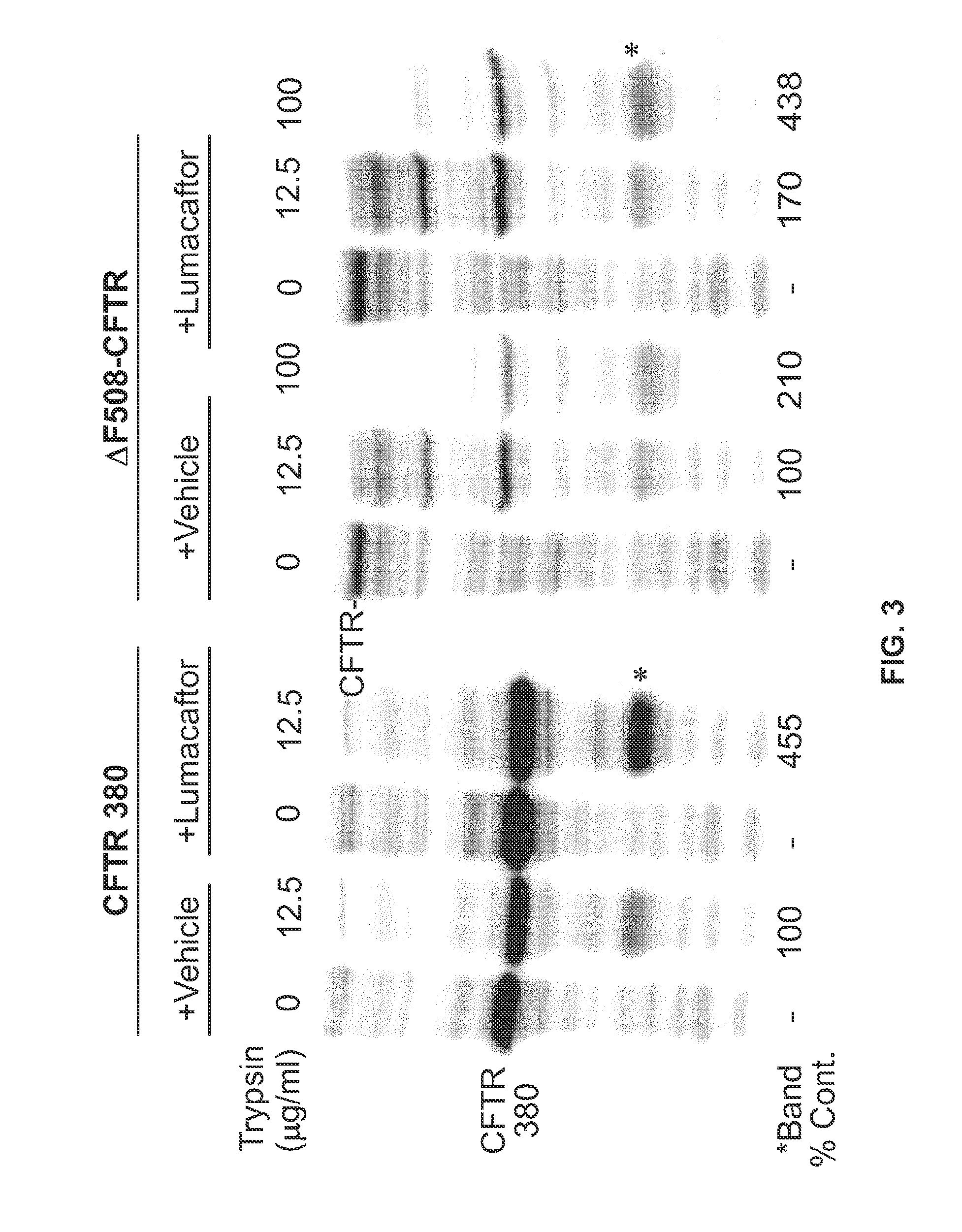 Correctors acting through msd1 of cftr protein