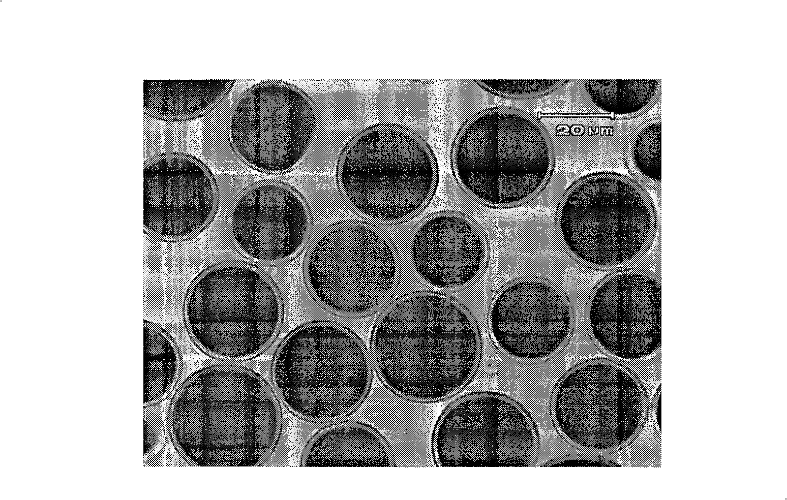 Preparation method of microcapsule for electronic paper display