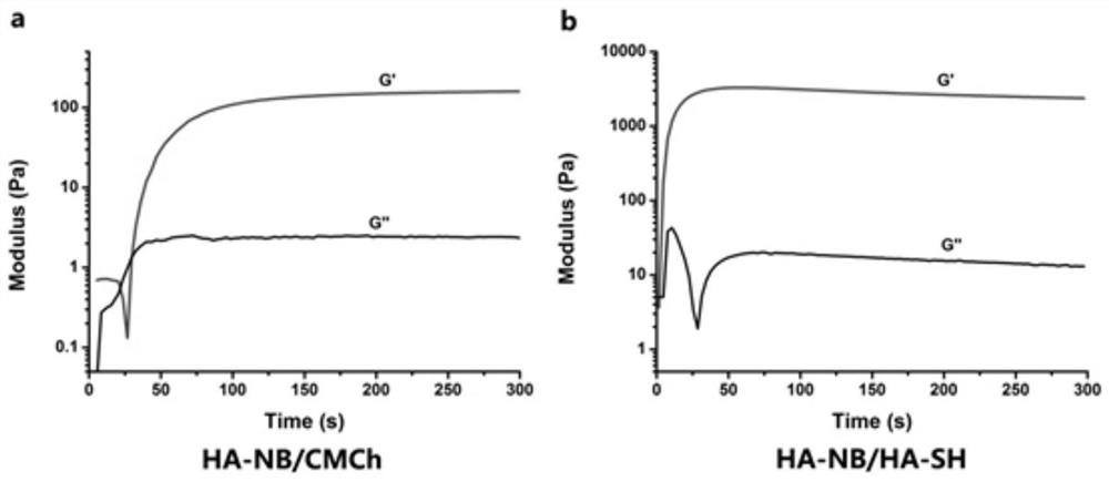 Photo-induced nitroso-crosslinked hydrogel material and its preparation method and application