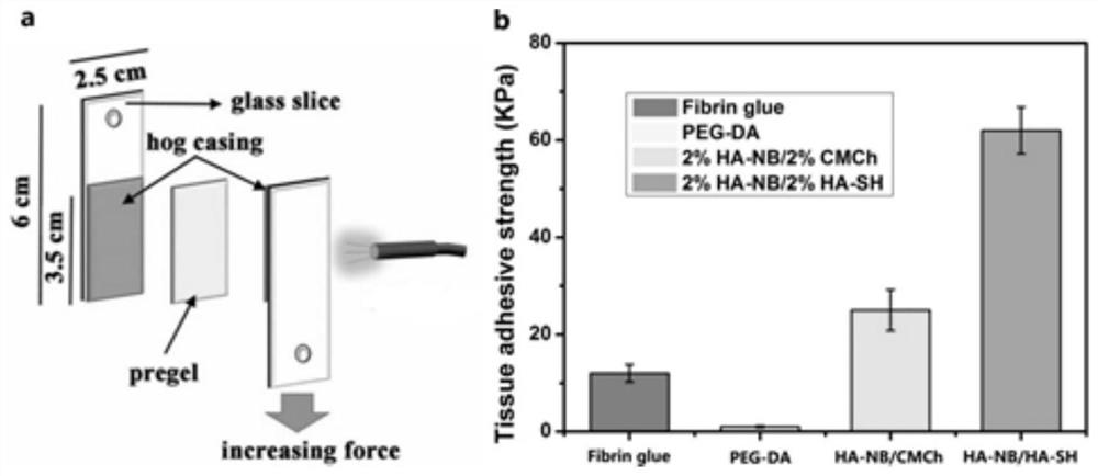 Photo-induced nitroso-crosslinked hydrogel material and its preparation method and application