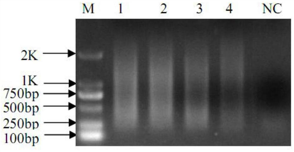 A method for simultaneous gene locus, chromosome and linkage analysis