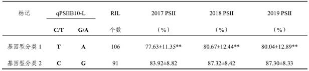 Molecular SNP markers linked to qpsiib10, the main QTL locus for peanut resistance to Aspergillus flavus infection, and their applications