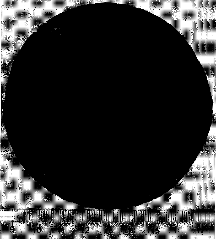 Metal microfiber-nano carbon composite material and preparation method