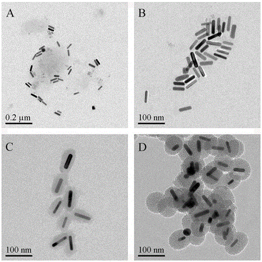 Material for tumor photothermic treatment and preparation method and application thereof