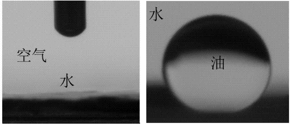 Non-layered cross-linked graphene oxide film as well as preparation method and application thereof