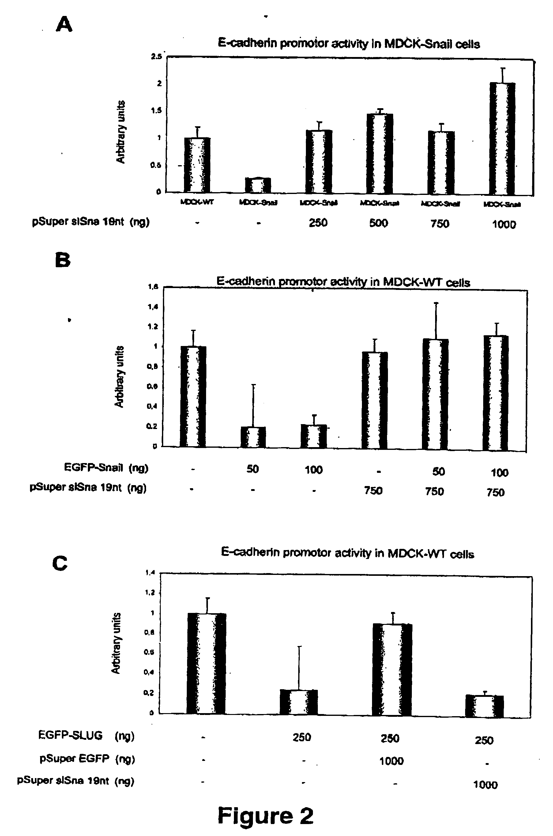 Materials and methods for the derepression of the E-cadherin promoter