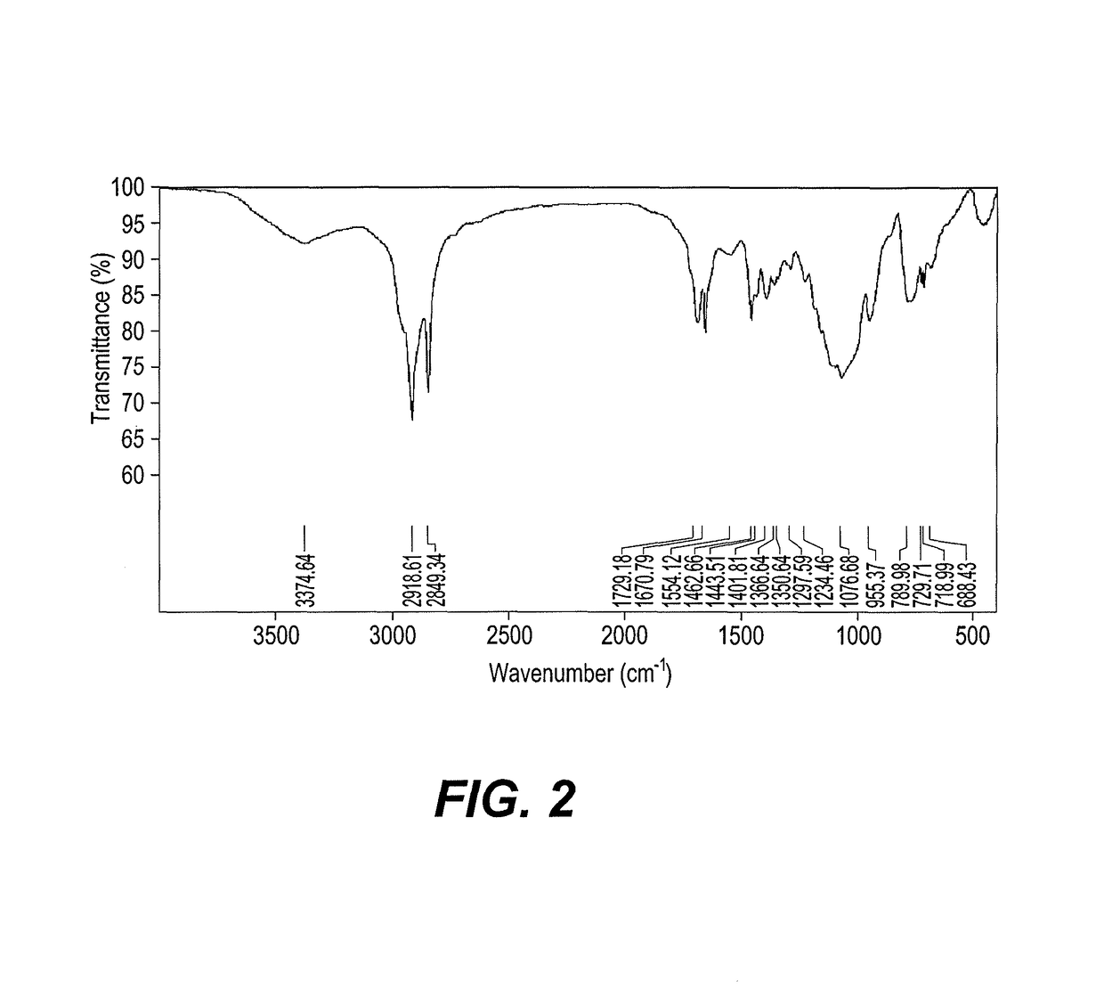 Hydrophobic nanoparticle compositions for crude oil collection