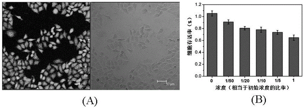 Method for preparing carbon dots based on carbon-printed electrodes on chip