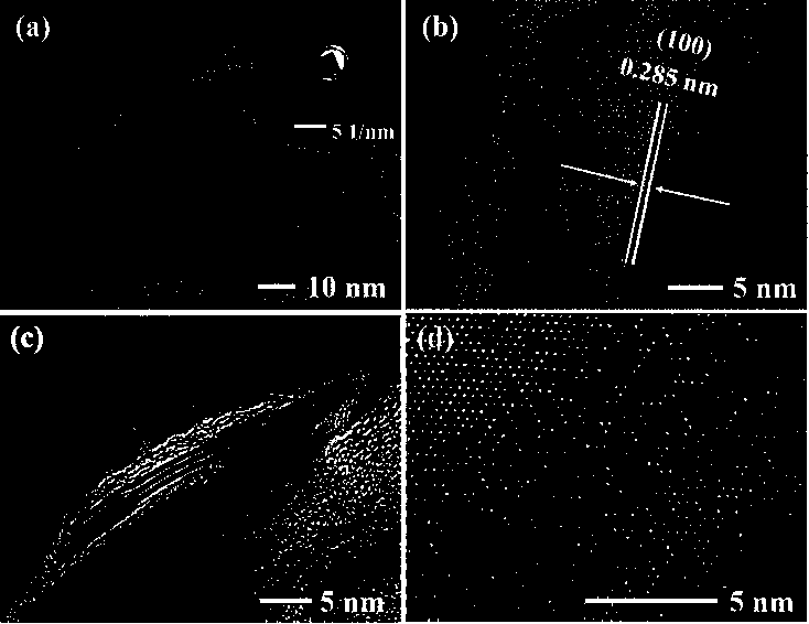 A kind of transition metal dichalcogenide nanosheet composite and preparation method thereof