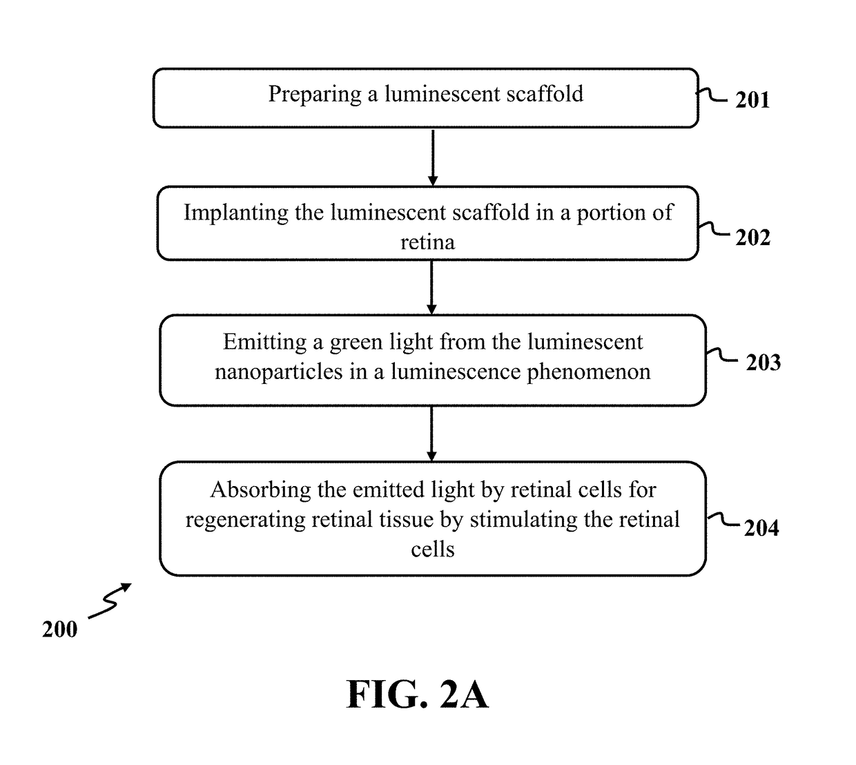 Retinal tissue regeneration