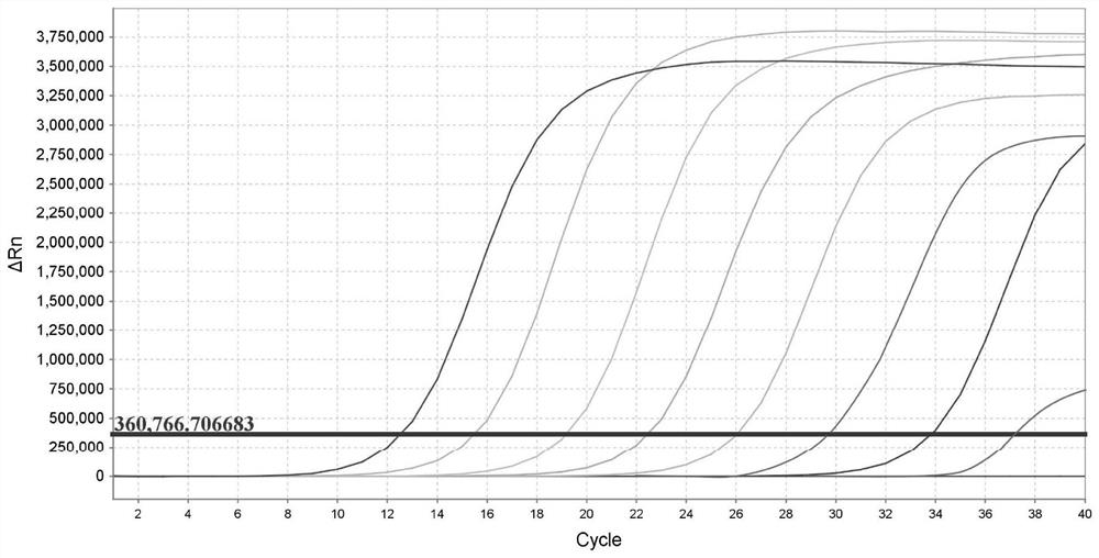 Fluorescent probe primer group and kit for African swine fever virus P72 gene, and application thereof