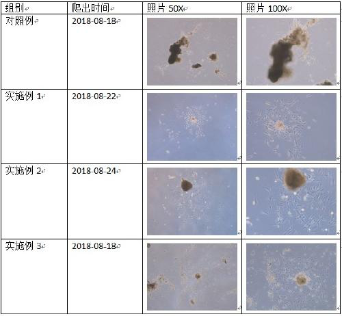 Serum-free culture medium for dental pulp stem cells