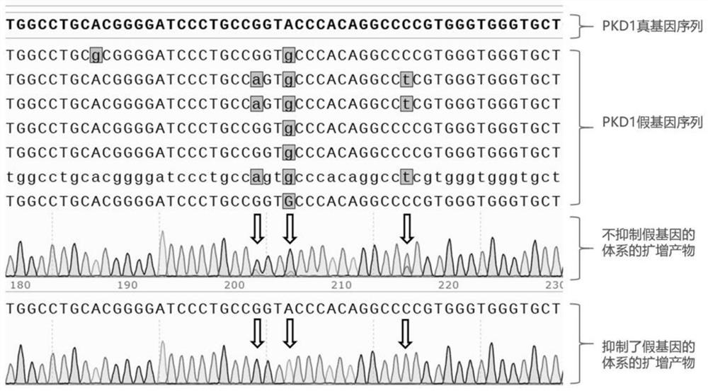 Nucleotide compositions for inhibiting non-target regions in biological DNA samples and their applications