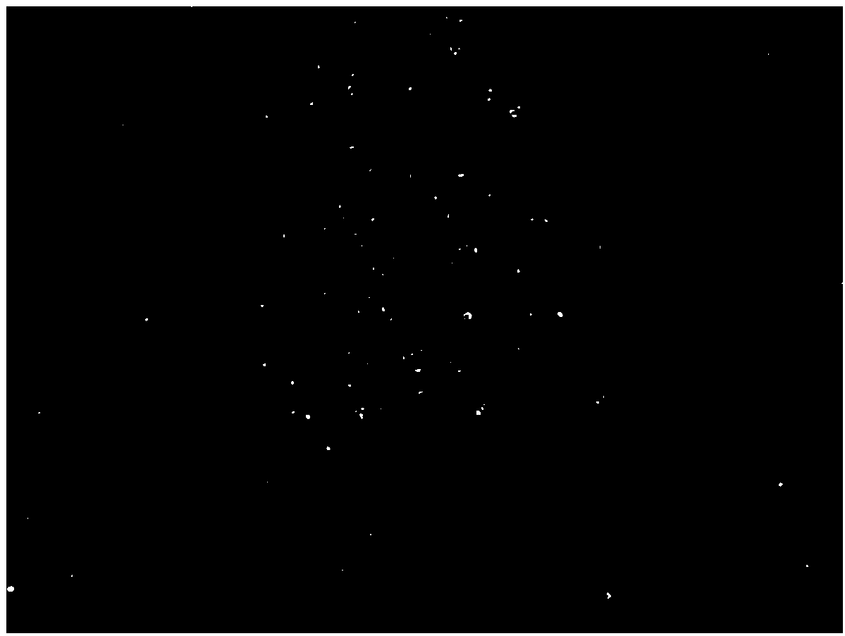 Kit and method for in vitro directed differentiation of human iPS stem cells into neurons