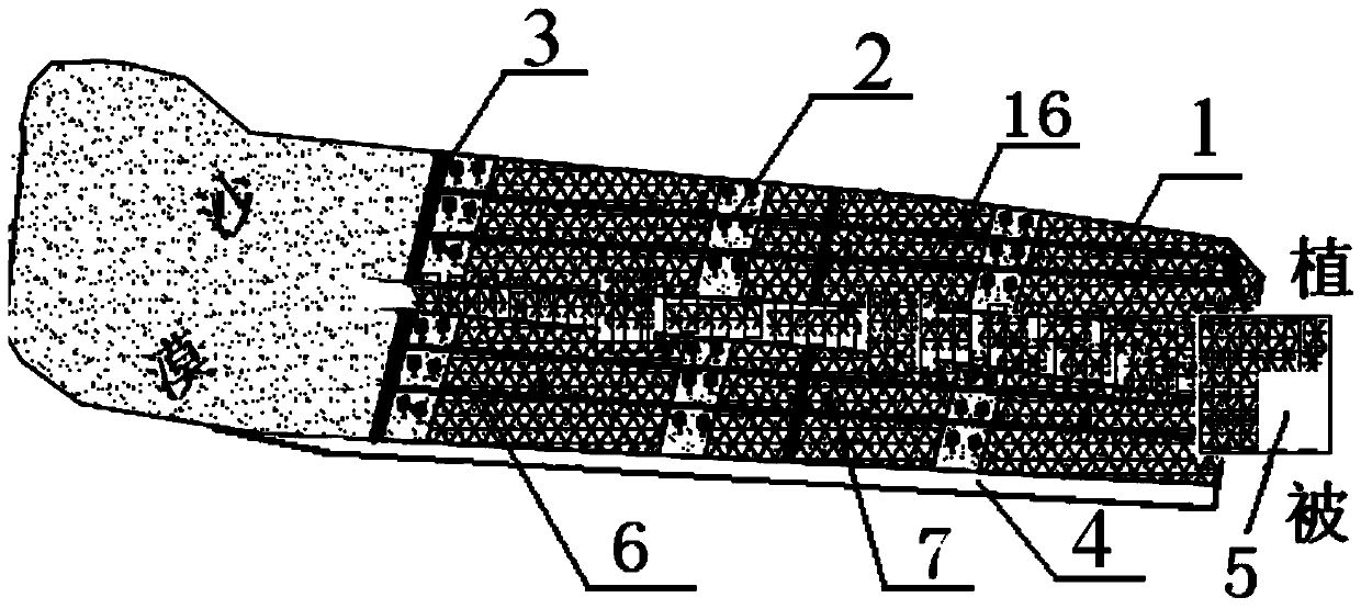 Desertification soil treatment method