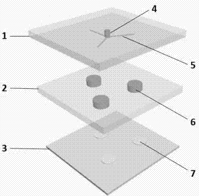 Self-suction type multichannel pathogenic bacterium detection micro-fluidic chip based on LAMP (loop-mediated isothermal amplification)