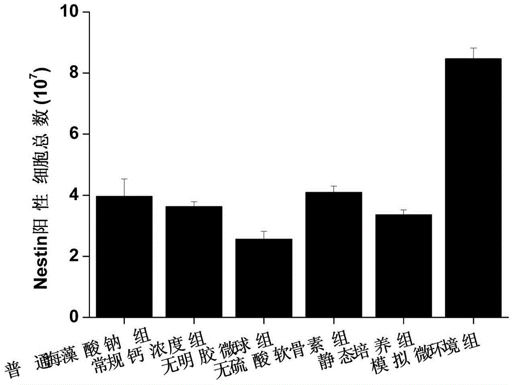 Method for promoting directional differentiation and proliferation of mesenchymal stem cells towards neural precursor cells