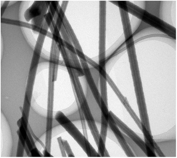 Nitroxide free radical functionalized porous organic polymer nanotubes as well as preparation method and application thereof