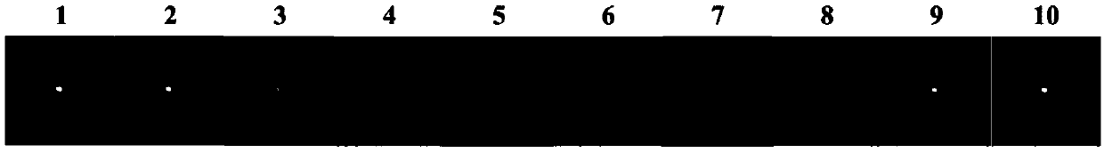 Method and device for detecting angular acceleration of rotator