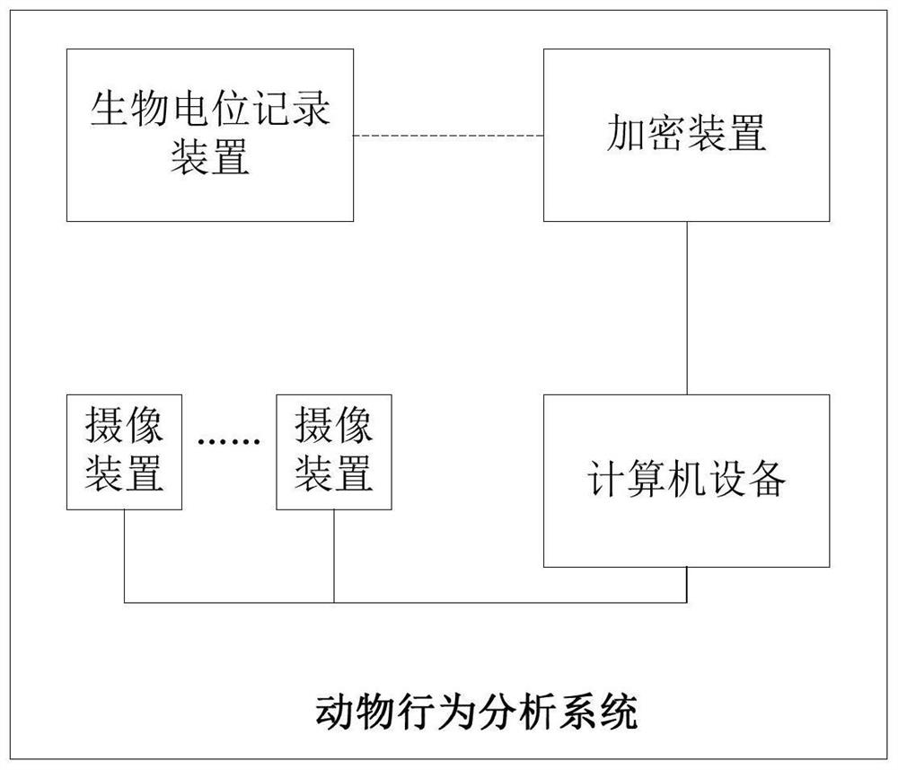 Animal behavior analysis system and method