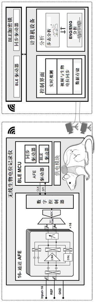 Animal behavior analysis system and method