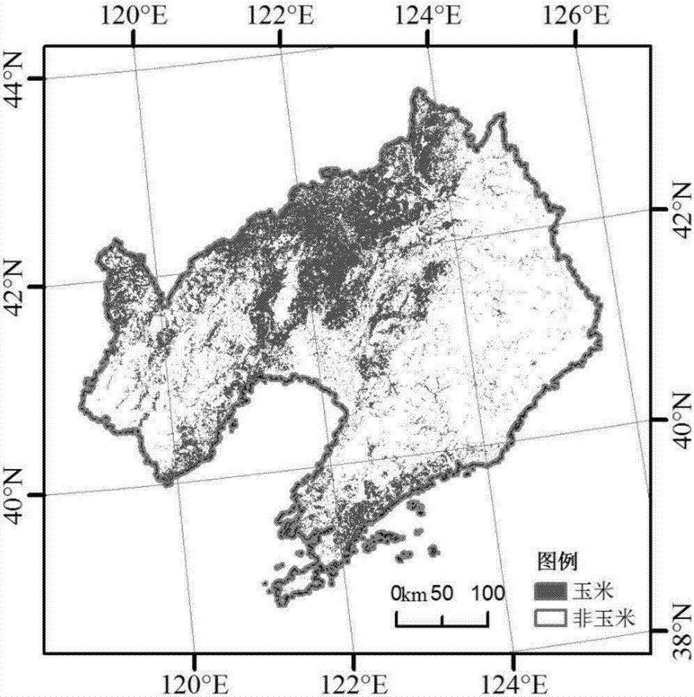 Remote sensing identification method of spring corn