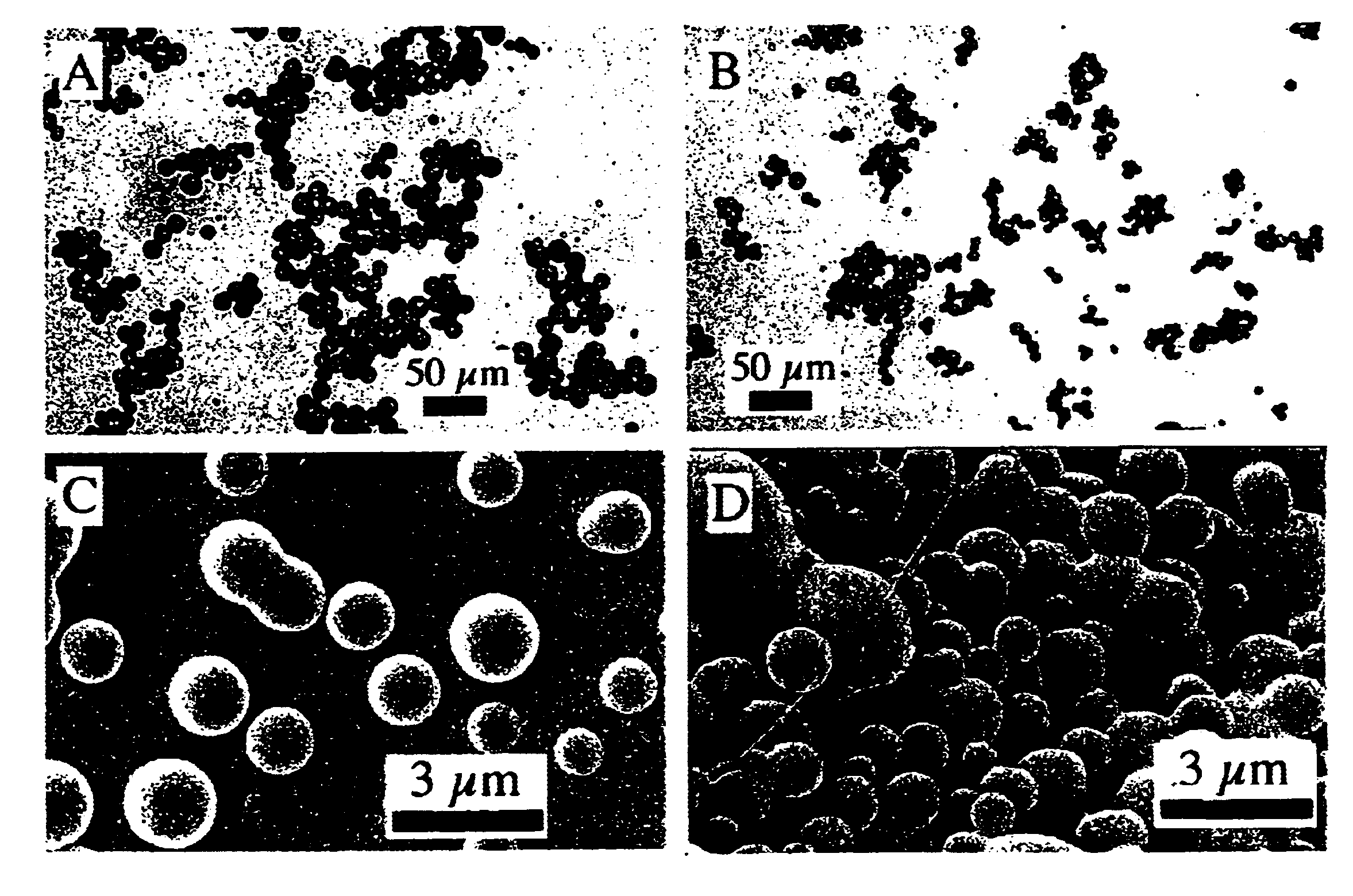 Microparticles