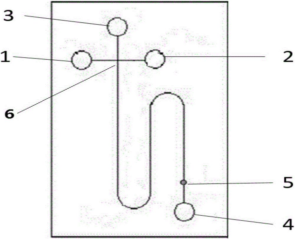 Serum sugar spectrum parting method based on micro-fluidic chip