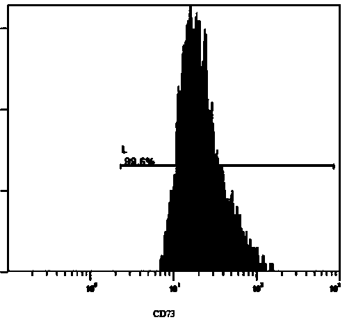 Culture method for transforming human oral mucosal stem cells into astrocytes