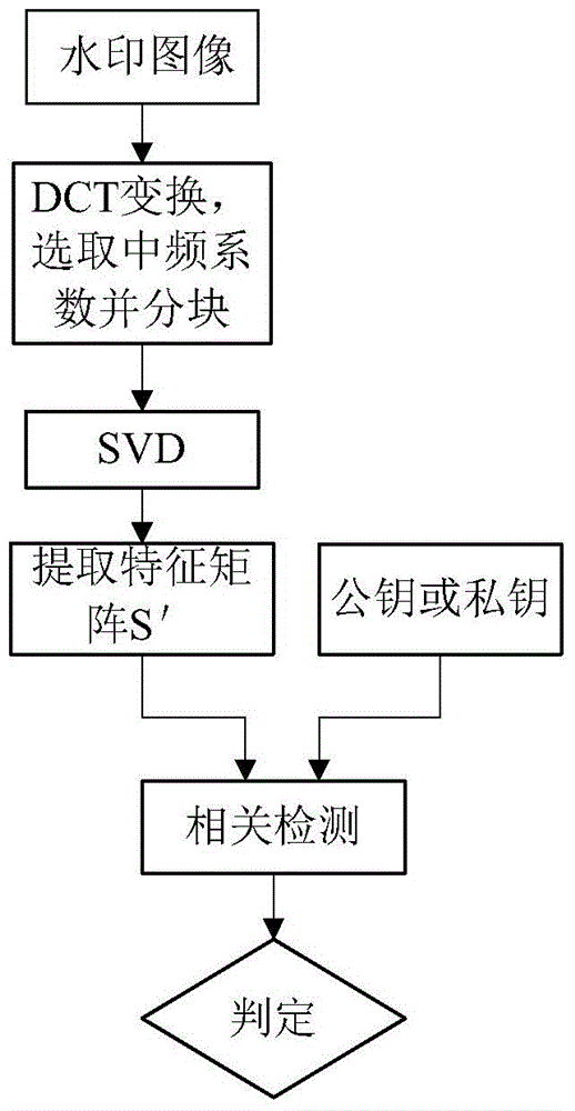 Asymmetric watermark algorithm based on Logistic chaotic mapping and Walsh sequence