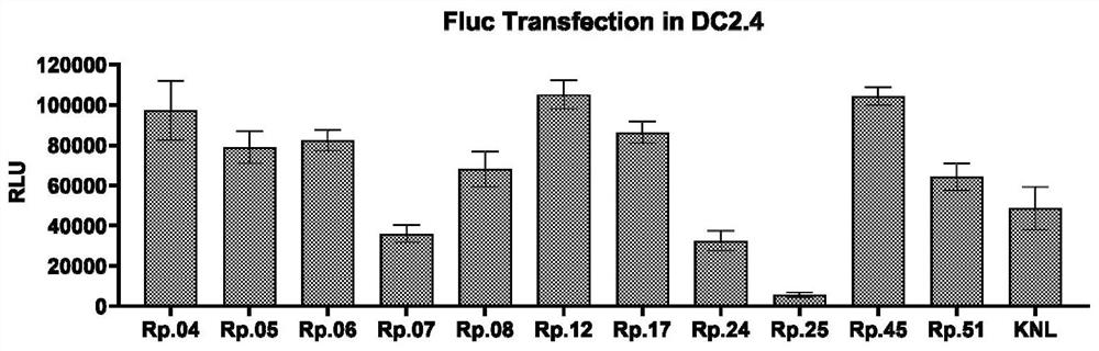 Nanoparticle containing 5-methylpyrimidine-2, 4 (1H, 3H)-diketone derivative and preparation method and application thereof