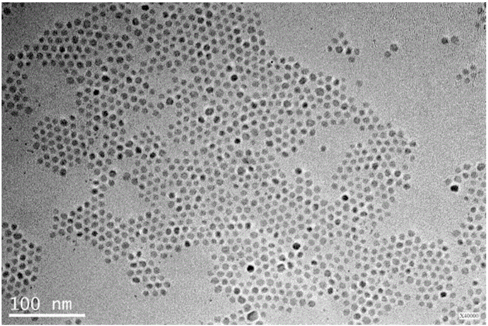 Water-soluble NaYF4:Yb, Er@NaGdF4 core-shell nanocrystalline as well as preparation method and applications thereof in nuclear magnetic resonance