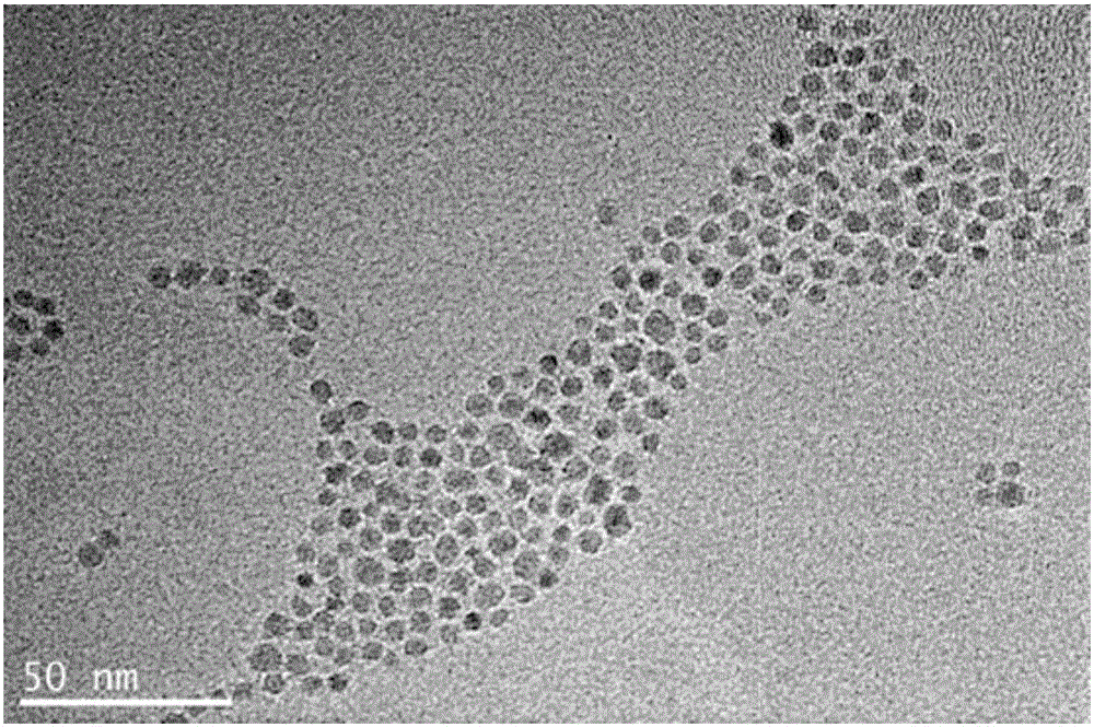 Water-soluble NaYF4:Yb, Er@NaGdF4 core-shell nanocrystalline as well as preparation method and applications thereof in nuclear magnetic resonance