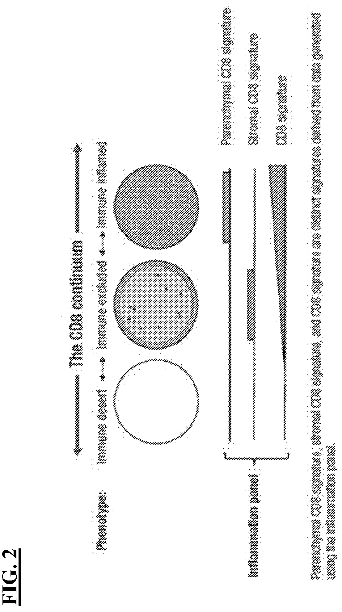 Cell localization signature and combination therapy