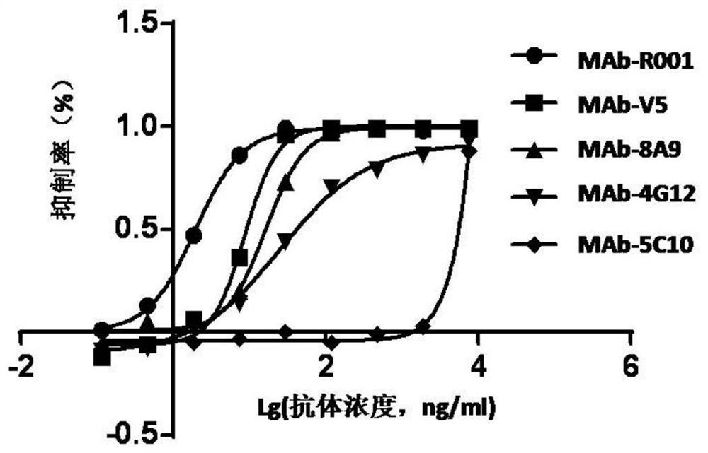 Anti-HPV16 L1 protein monoclonal antibody and detection method applying same