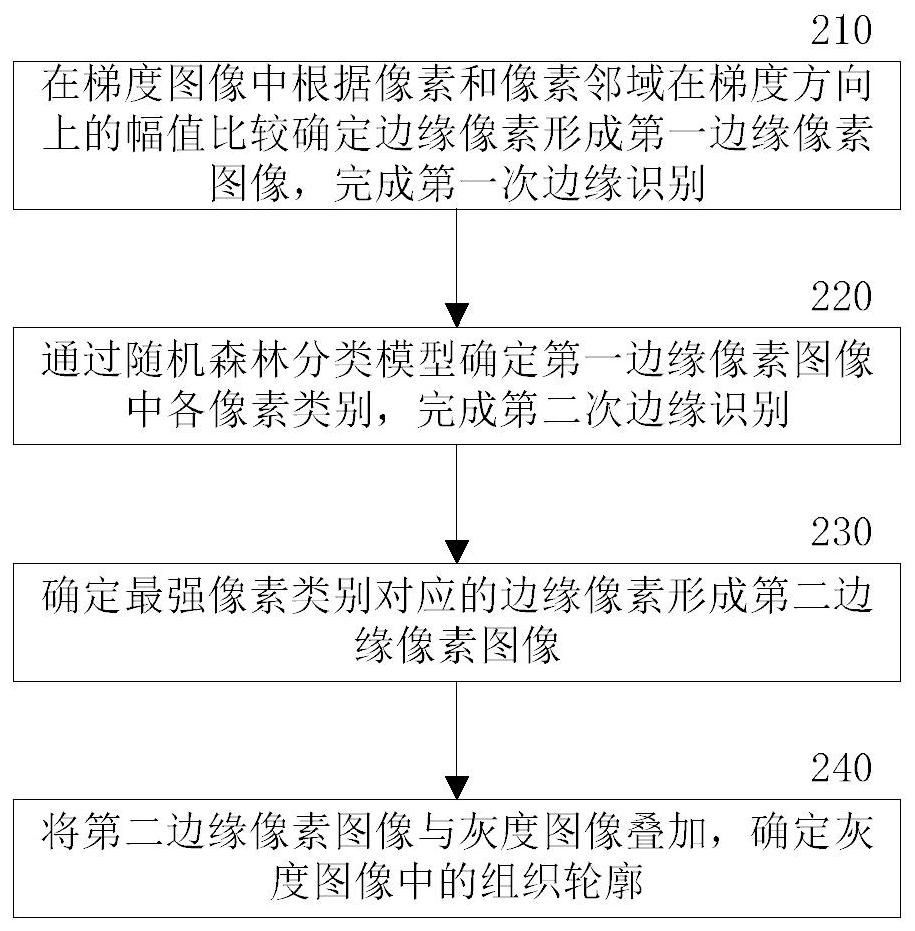 Ankle ligament separation method and separation system in medical imaging