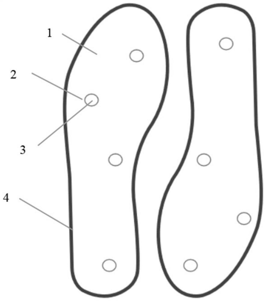 Artemisia argyi insole and health care shoe with health care effects