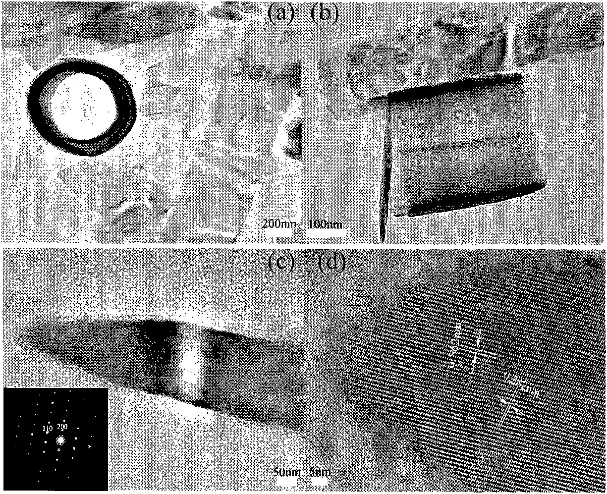 Tungsten-doped vanadium dioxide nanopowder and preparation method for the same