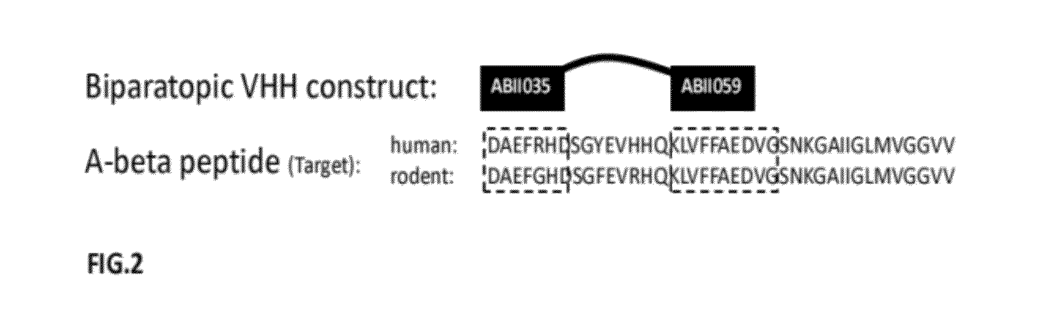 A-beta binding polypeptides