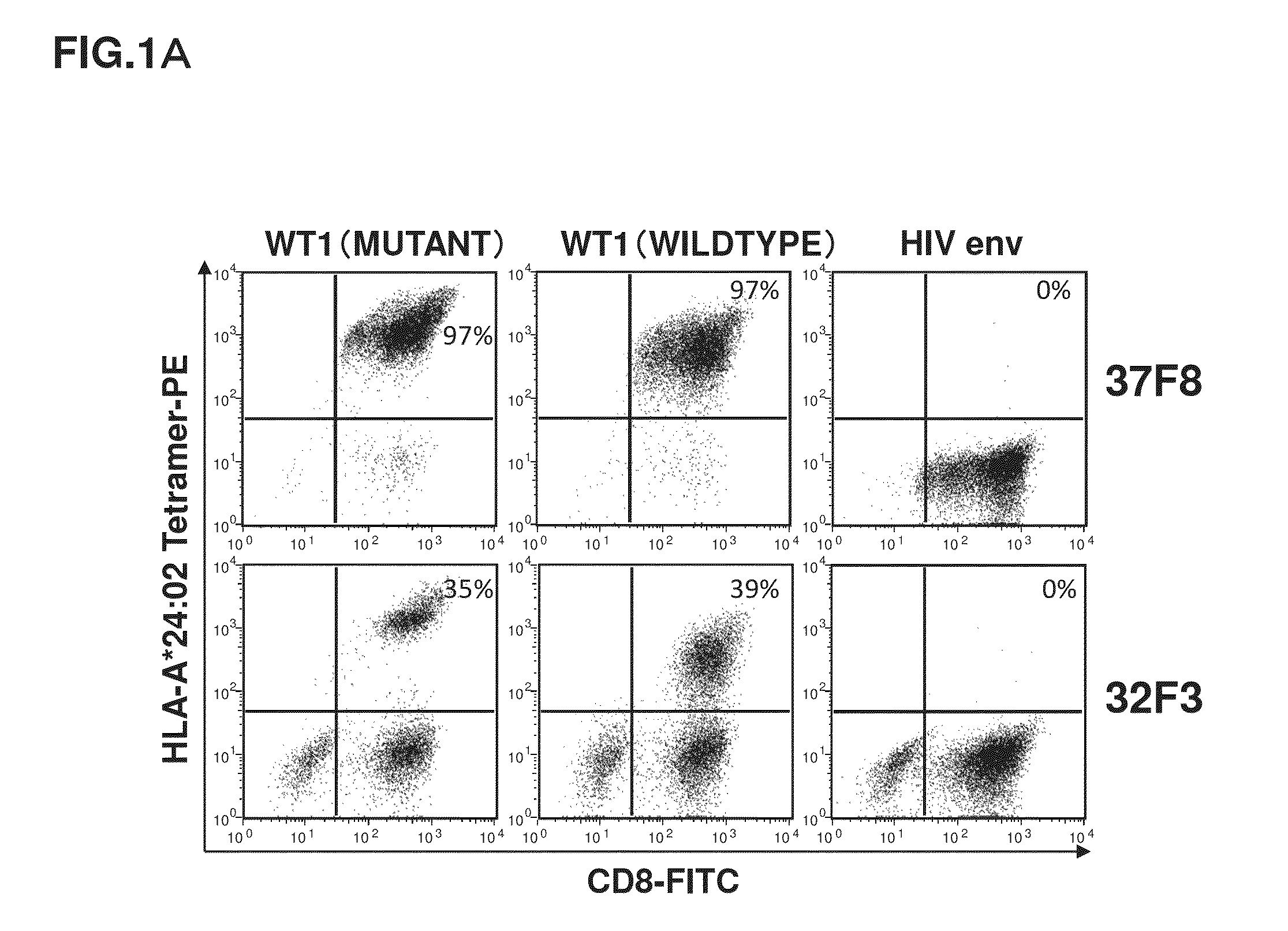 T cell receptor and uses thereof