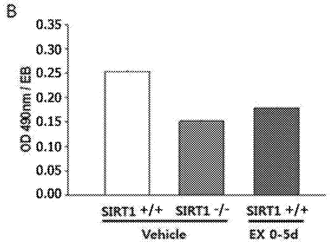 Method for controlling differentiation of embryonic stem cells into adipocytes or kidney precursor cells by regulating sirt1 expression