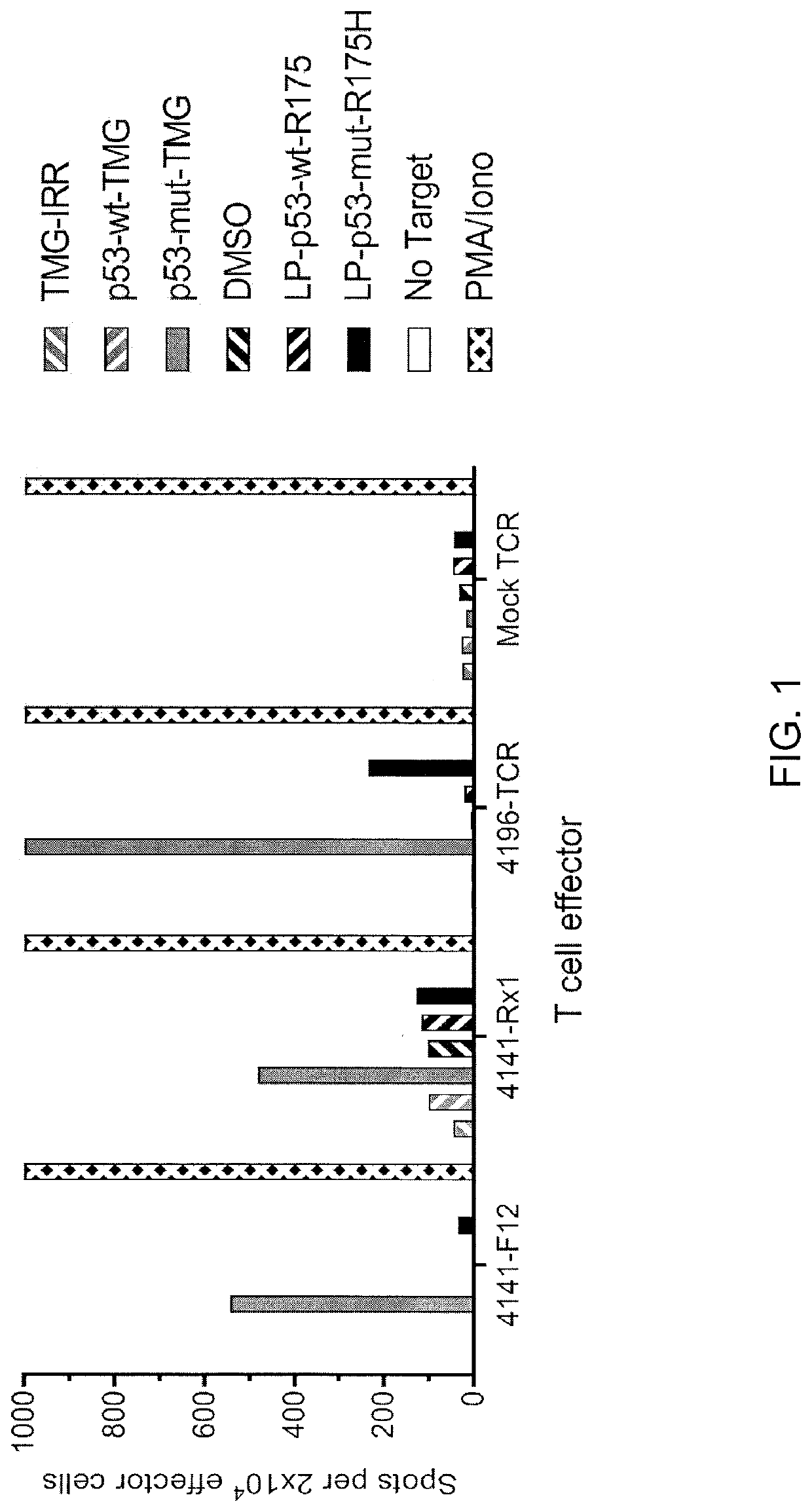 Methods of isolating t cells having antigenic specificity for a p53 cancer-specific mutation