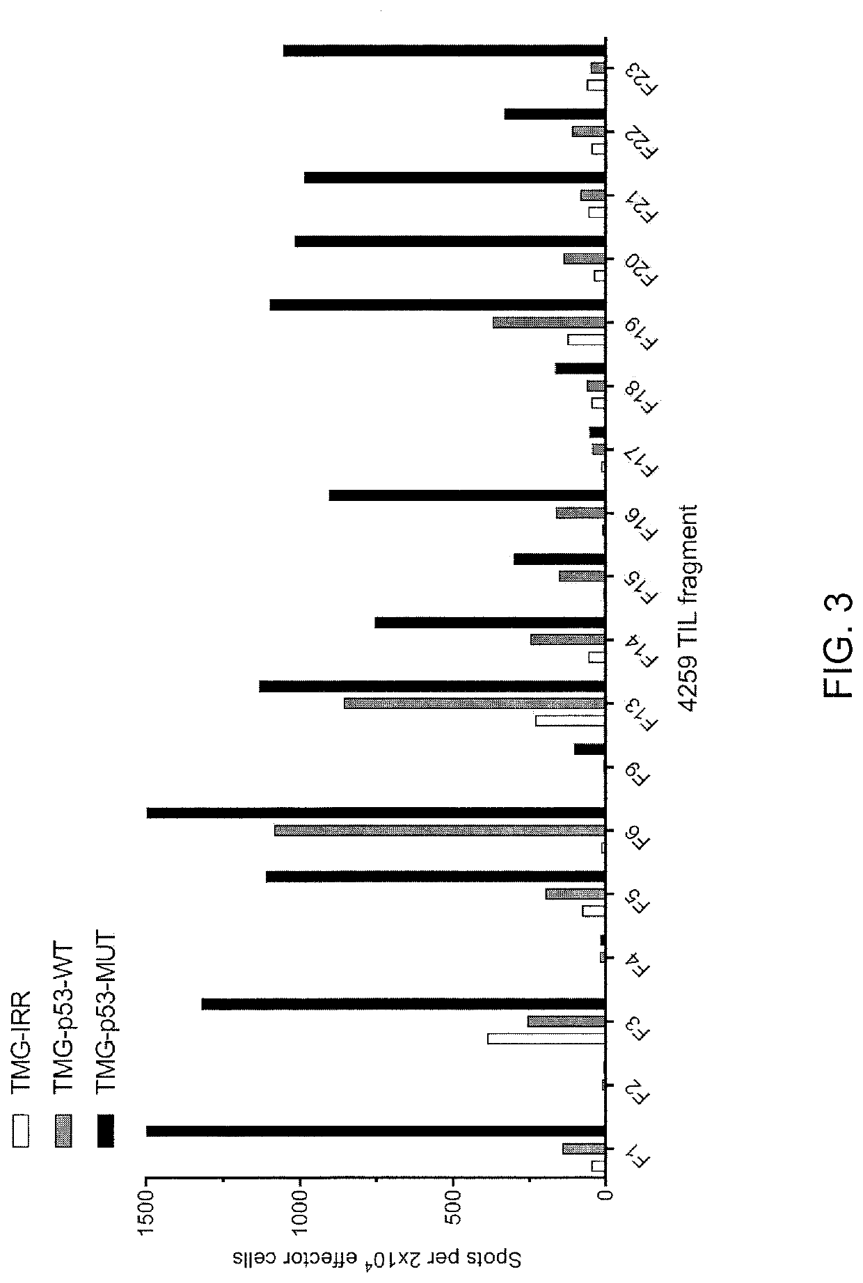 Methods of isolating t cells having antigenic specificity for a p53 cancer-specific mutation