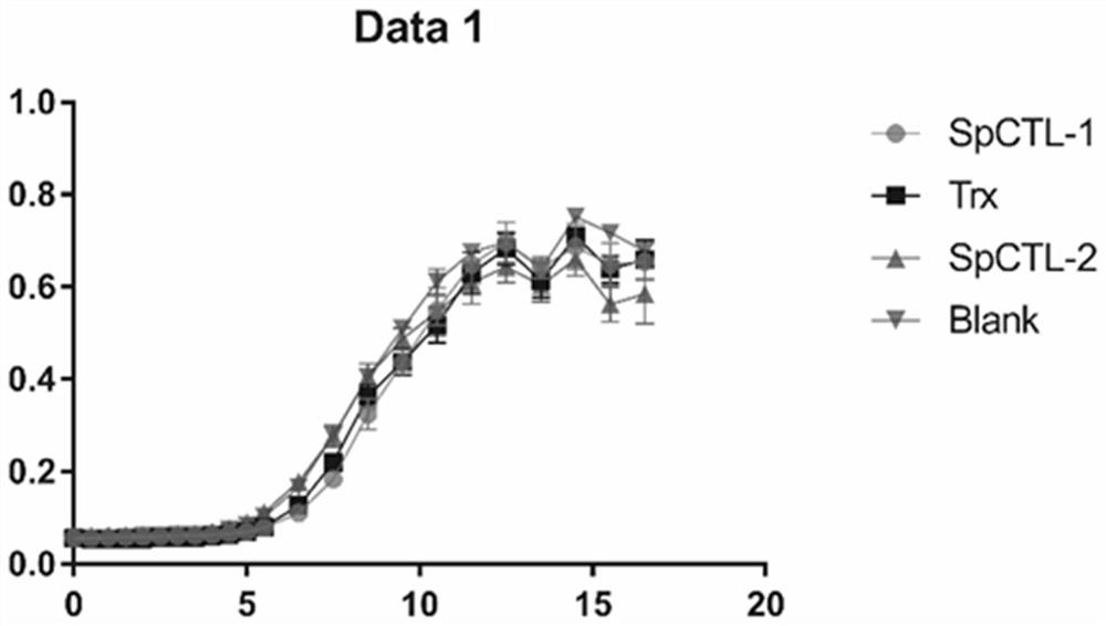 Scylla paramamosain C-type lectin as well as preparation method and application thereof