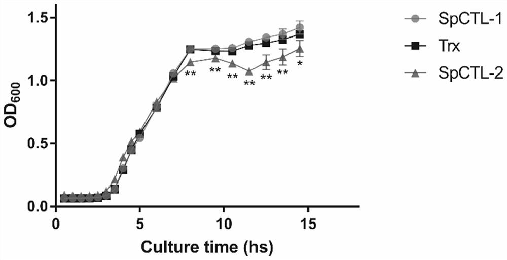 Scylla paramamosain C-type lectin as well as preparation method and application thereof