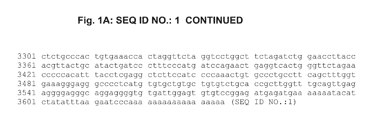 Inhibiting or downregulating glycogen synthase by creating premature stop codons using antisense oligonucleotides