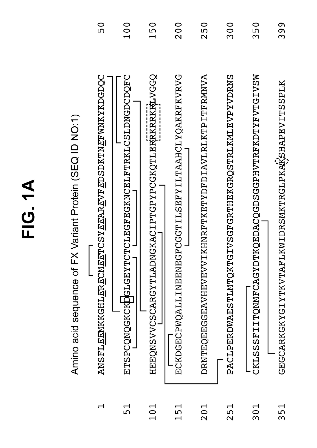 FXa variant compositions