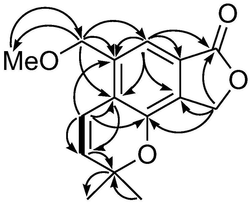 A kind of benzoisofuran lactone compound, its preparation method, antioxidant and additive containing it and use