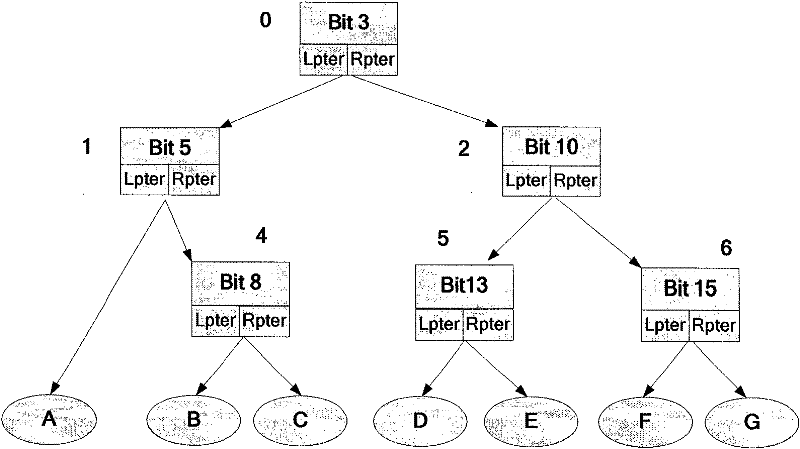 Patricia tree rapid lookup method in high memory access wide