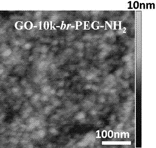 Application of oxidized graphene modified by polyethylene glycol